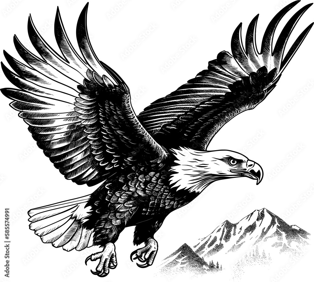 Fototapeta premium eagle flying ,sketch vector graphics monochrome illustration , Engraving