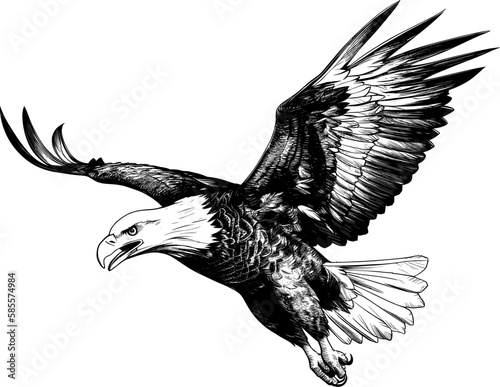 eagle flying ,sketch vector graphics monochrome illustration , Engraving