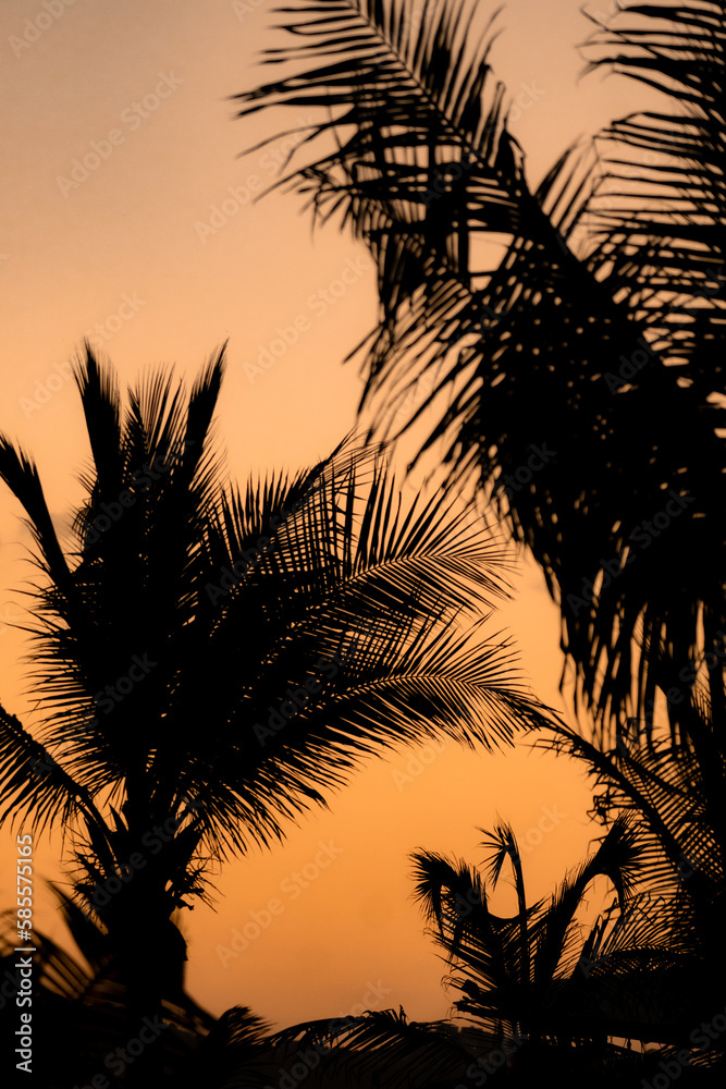 beautiful sunset with palm trees on the beach