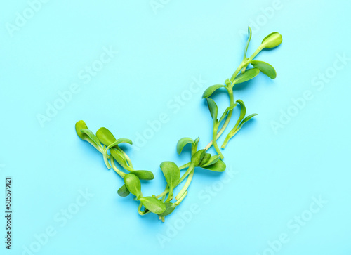 Check mark made of sprouts ...