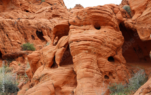 Rock like elephant - Valley of Fire State Park, Nevada photo