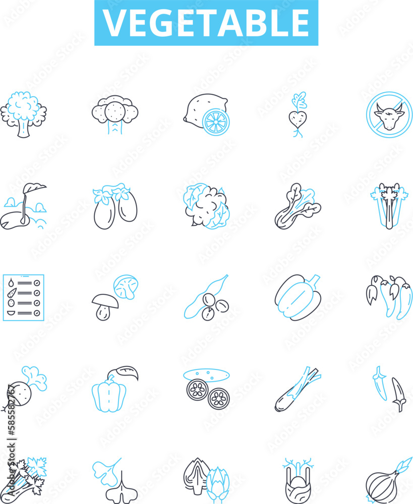 Vegetable vector line icons set. Peas, Carrots, Celery, Potato, Broccoli, Radish, Celeriac illustration outline concept symbols and signs