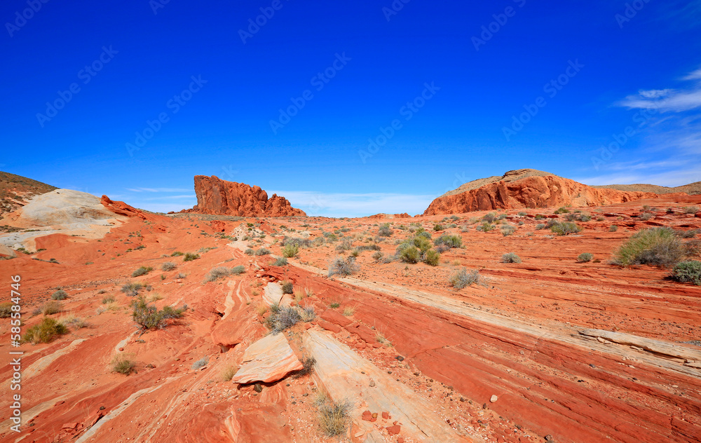 Fototapeta premium Landscape with Gibraltar Rock - Valley of Fire State Park, Nevada