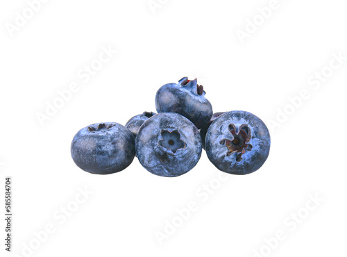  bilberry , blueberry isolated on transparent png