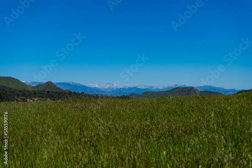 Clear blue skies and lush green grass after lots of rain in Southern California. Pictures taken midday during a hike in Spring season at Rancho Sierra Vista/Satwiwa © Adam
