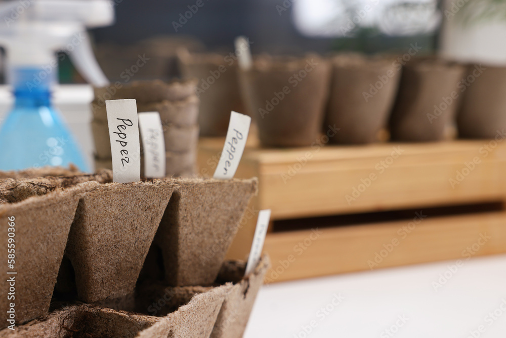 Many peat pots with cards of vegetable names, closeup and space for text. Growing seeds Many peat pots with cards of vegetable names, closeup and space for text. Growing seeds