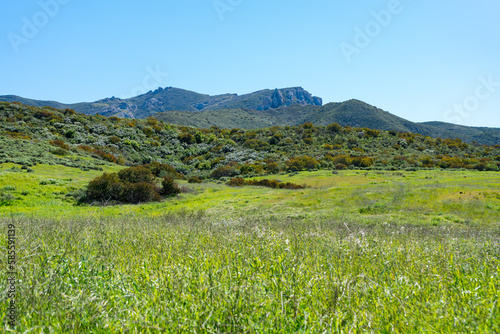 Clear blue skies and lush green grass after lots of rain in Southern California. Pictures taken midday during a hike in Spring season at Rancho Sierra Vista/Satwiwa photo