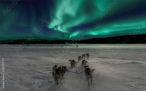 Fototapeta Naklejka Na Ścianę i Meble -  Aurora