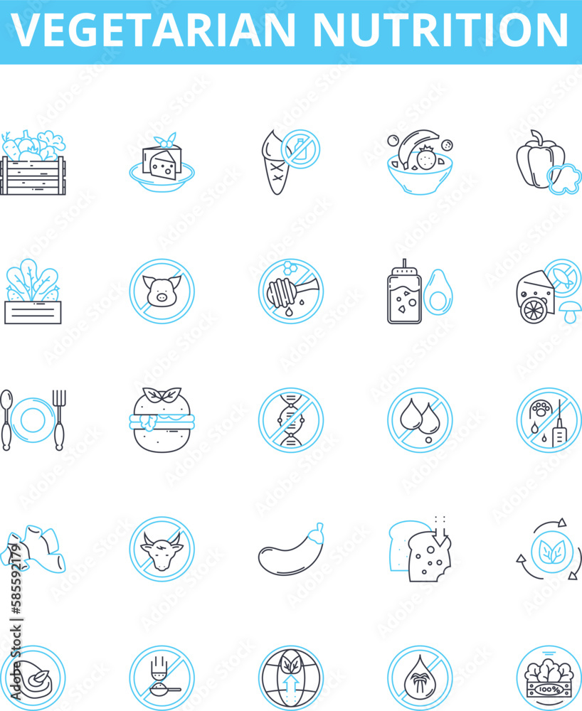 vegetarian nutrition vector line icons set. Vegetarian, Nutrition, Plant-based, Diet, Protein, Vitamins, Grains illustration outline concept symbols and signs