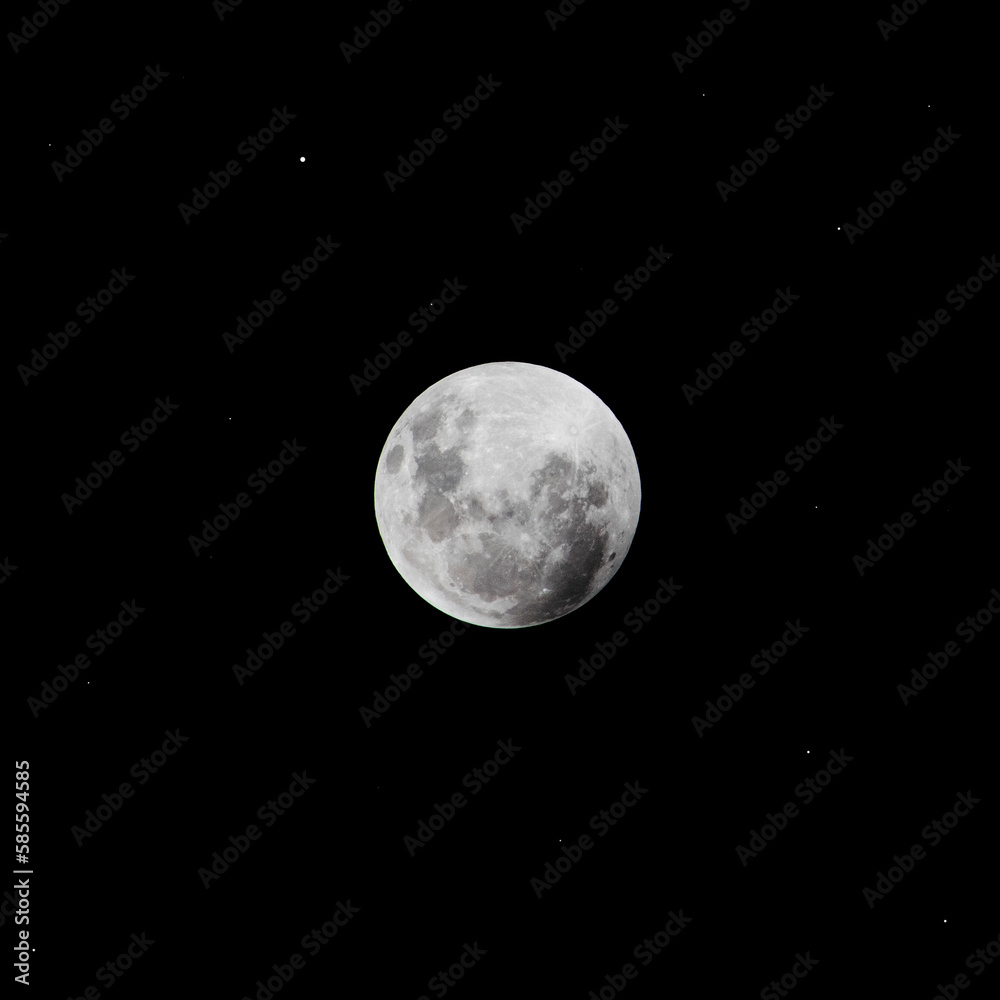 moon moon