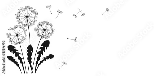 Dandelion flying seeds ink silhouette banner. Abstract flowers dandelions blossom black figure shape plants. Botany floral design template  advertising background  poster card  cover invitation vector