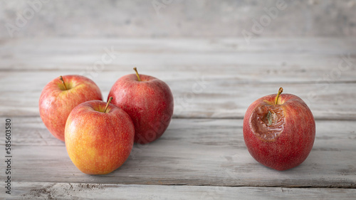 Canvas Print A red rotten disgusting apple separated of good ones