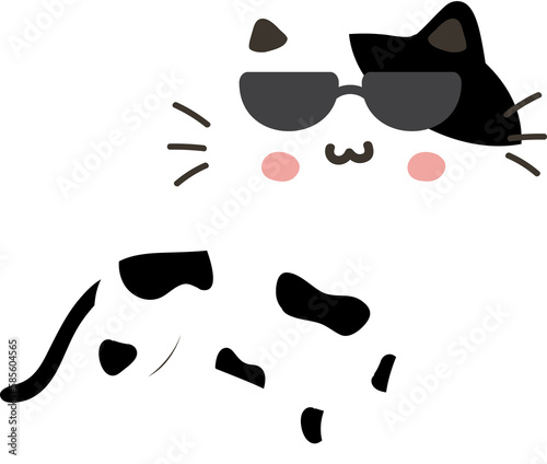 cat with glasses