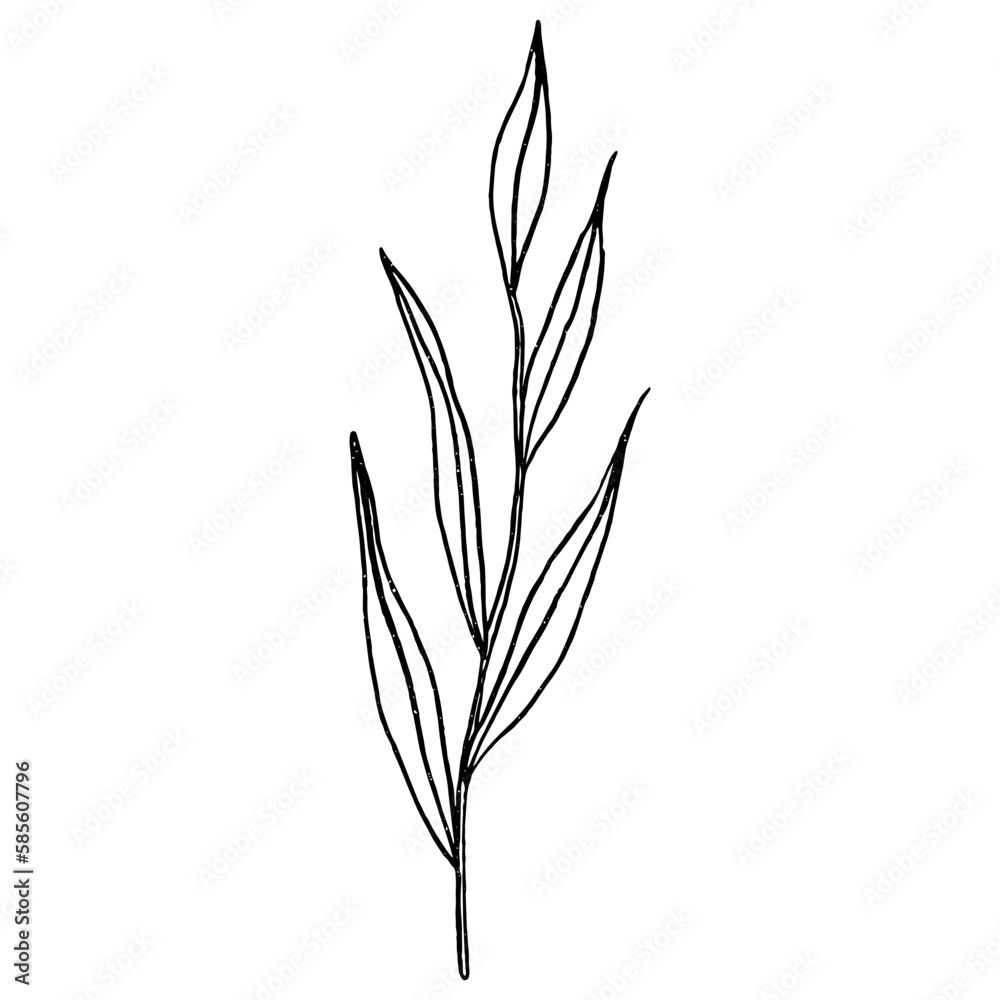 Floral leaf line art element for wedding card, invitation card, poster, logo design and more. Floral leaf line art element for wedding card, invitation card, poster, logo design and more.
