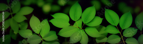 Illustration of tree branch with detailed leaves in close-up view created with Generative AI technology