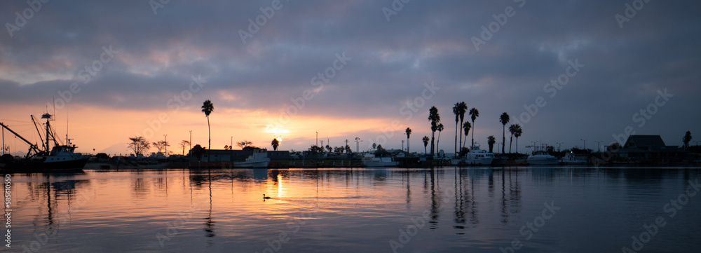 Duck swimming sunrise in Channel Islands Harbor in Port Hueneme California United States
