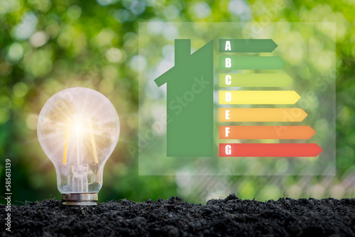 Light bulb on soil with house icon energy efficiency scale image on virtual screen, Concept of ecological and bio energetic house. Energy class.