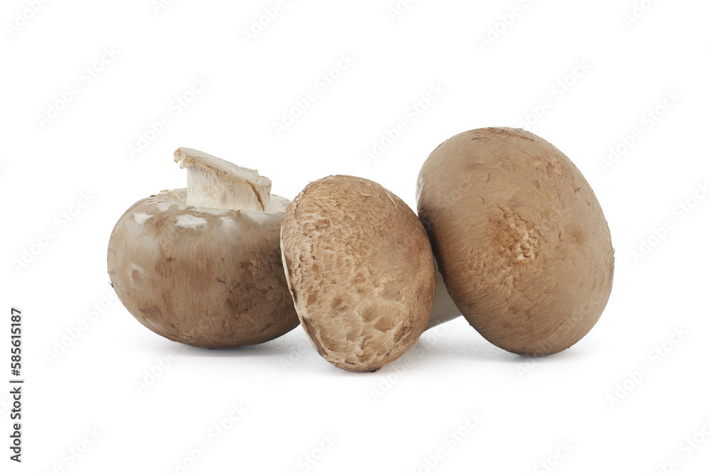 Brown button mushrooms over white background Brown button mushrooms over white background