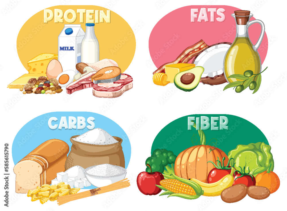 Main food groups macronutrients vector Main food groups macronutrients vector
