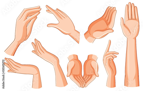 Set of Human Hands in Different Positions and Gestures