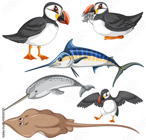 Set of animal cartoon