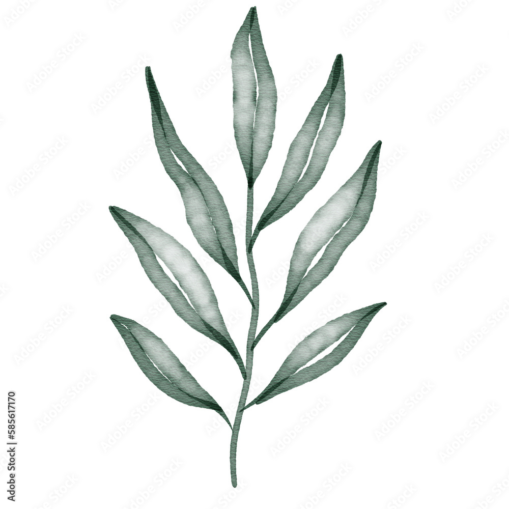 Obraz premium Green watercolor leaf hand painted for greeting card decoration and invitation card.