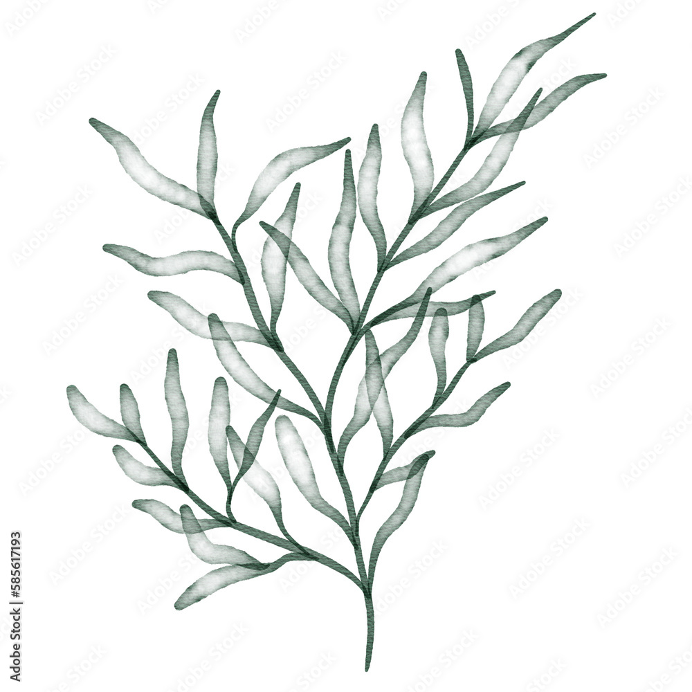 Fototapeta premium Green watercolor leaf hand painted for greeting card decoration and invitation card.
