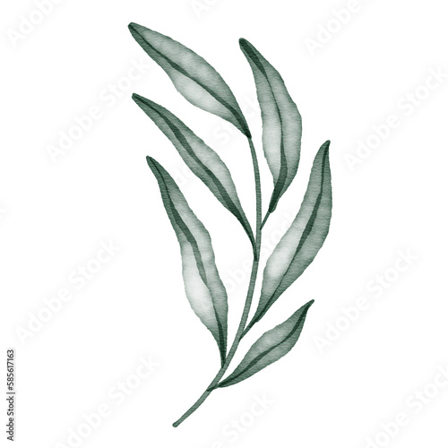 Green watercolor leaf hand painted for greeting card decoration and invitation card. © itim2101