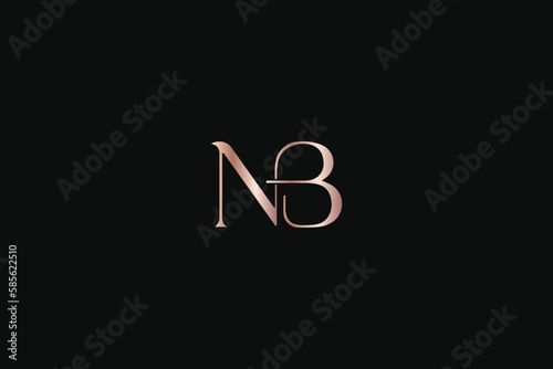 NB letter minimal with golden typography minimal brand logo design, nb elegant logo, nb luxury icon  photo