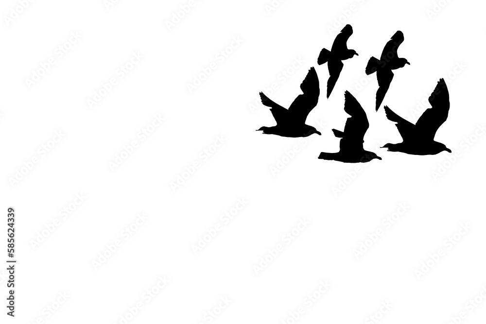 Flying bird silhouettes with PNG file. isolated bird flying. tattoo design.