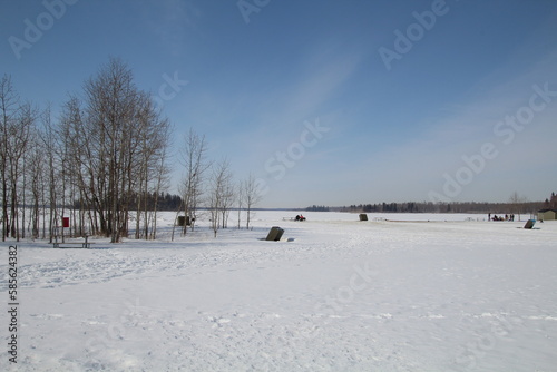 Snowy Lands  Elk Island National Park  Alberta