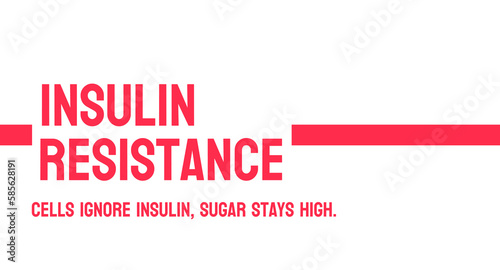 Insulin Resistance: Condition where cells do not respond to insulin properly.
