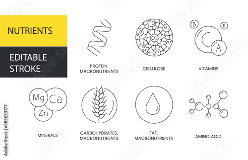 Nutrients vector line icon, illustration of protein and fiber, vitamins and minerals, carbohydrates and fats, amino acids and macronutrients. Editable stroke photo