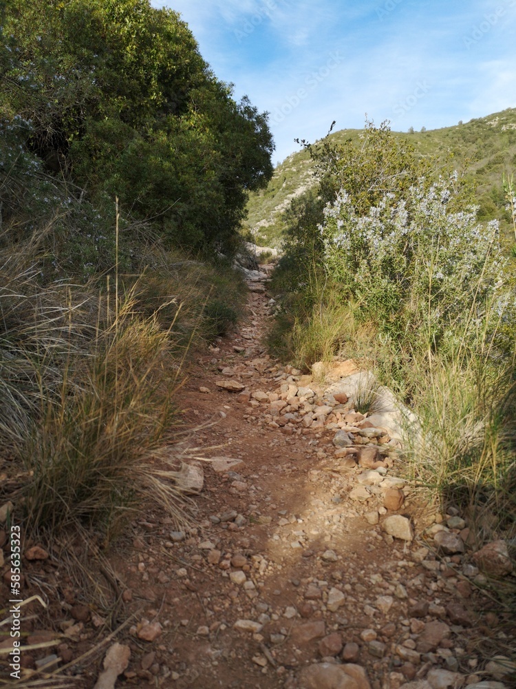 sendero, Olesa de Montserrat, excursión, ejercicio, solitario, barcelona, catalunya, camino, senda, ronda, viaje, viajar, vacaciones, en forma, vegetación sendero, Olesa de Montserrat, excursión, ejercicio, solitario, barcelona, catalunya, camino, senda, ronda, viaje, viajar, vacaciones, en forma, vegetación
