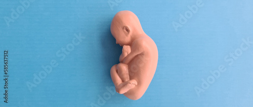 Stages of growth of human child for nine months of development of stage of pregnancy photo