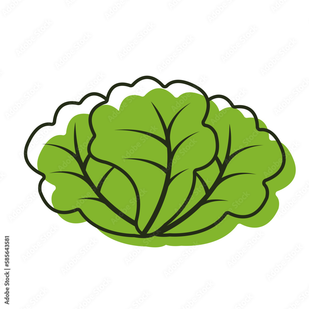 Lettuce Lettuce