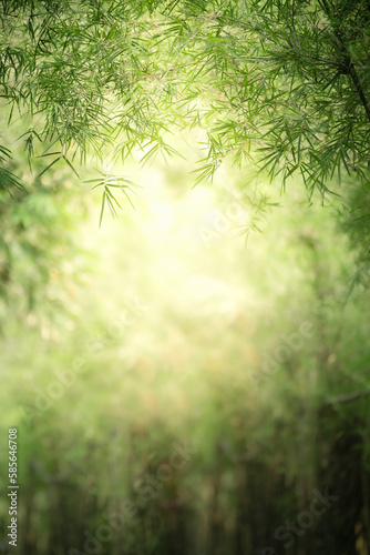 Natural green leaf texture with sun light use for nature background wallpaper cover page 