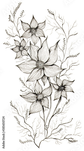 hand drawn pencil abstract flowers