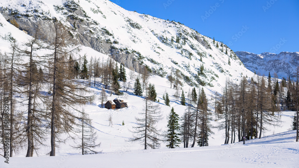 A beautiful winter landscape in the mountains