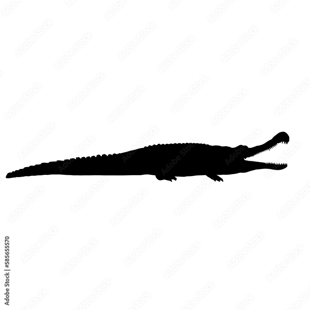 Naklejka premium crocodile vector isolated on white