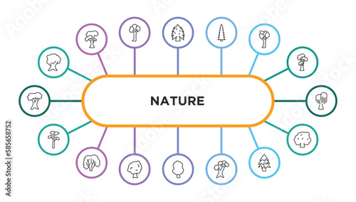 nature outline icons with infographic template. thin line icons such as butternut tree, eastern hemlock tree, red spruce tree, american elm black willow pitch pine american hornbeam sycamore