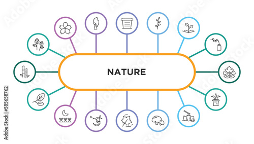 nature outline icons with infographic template. thin line icons such as two roses, flowerpot, prairie, grows, fern, branches with leaves, cultivation, ikebana flowers, autumn leaves, mushroom with