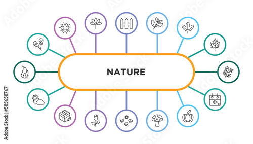 nature outline icons with infographic template. thin line icons such as obovate, fences, black willow, sassafras leaf, bilberry leaf, sunny protic, damaged, roses, season, amanita, farming,
