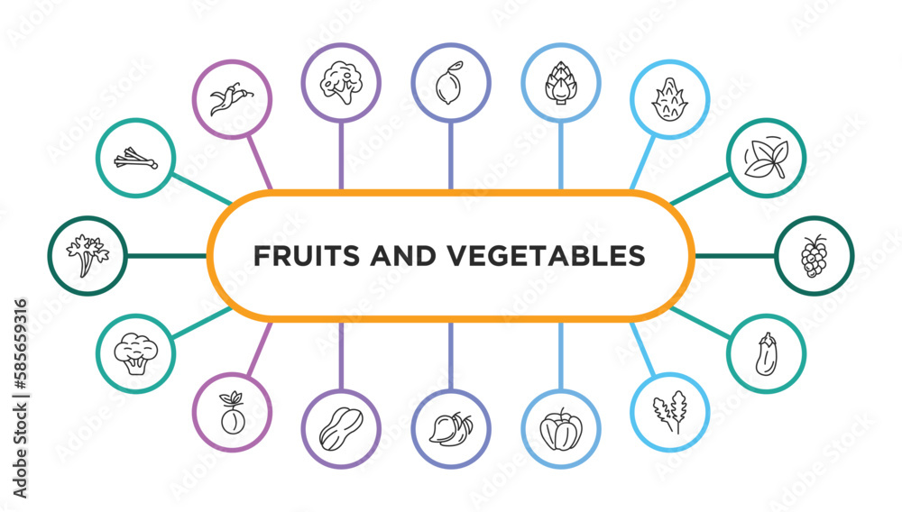 fruits and vegetables outline icons with infographic template. thin line icons such as spring onion, lemon, artichoke, dragon fruit, grapes, cauliflower, plum, peanut, mango, paprika, arugula,