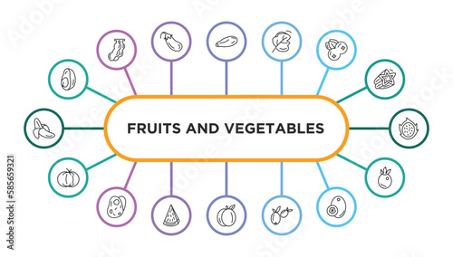 fruits and vegetables outline icons with infographic template. thin line icons such as avocado, courgette, spinach, blueberry, pitaya, pumpkin, potatoes, watermelon, apricot, olive, breast milk