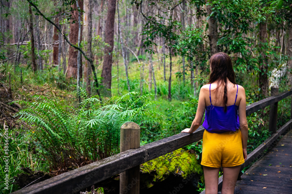 Beautiful girl in colorful clothes andmires and walks in Brisbane Koala Bushlands Park, Queensland, Australia Beautiful girl in colorful clothes andmires and walks in Brisbane Koala Bushlands Park, Queensland, Australia