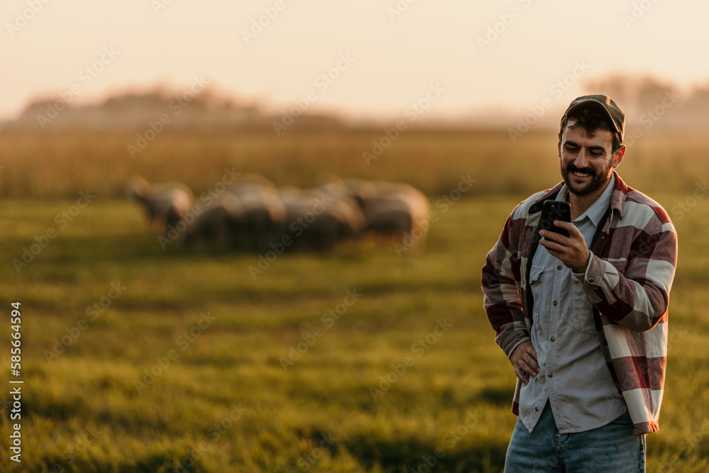 Male modern farmer using phone while watching a domestic animal herd on the horizon. Copy space