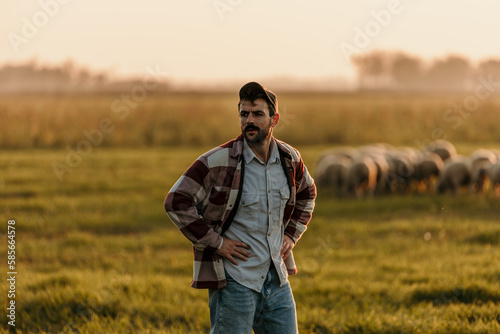 Portrait shot of a farmer watching over cattle on a farm. Man in the countryside with domestic animals during the sunset.