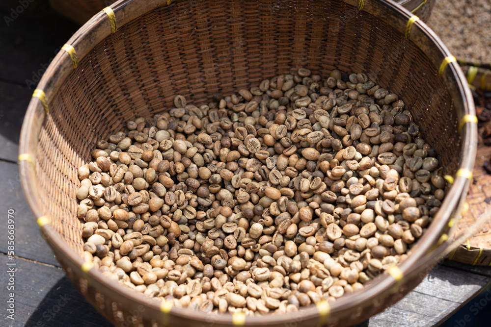 Unroasted coffee beans in a woven basket in Bali, Indonesia