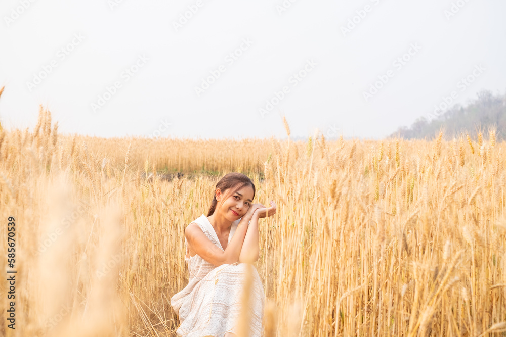 Young Asian women in white dresses in the Barley rice field season golden color of the wheat plant at Chiang Mai Thailand Young Asian women in white dresses in the Barley rice field season golden color of the wheat plant at Chiang Mai Thailand